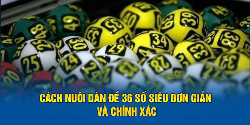 Các bước nuôi dàn siêu hiệu quả